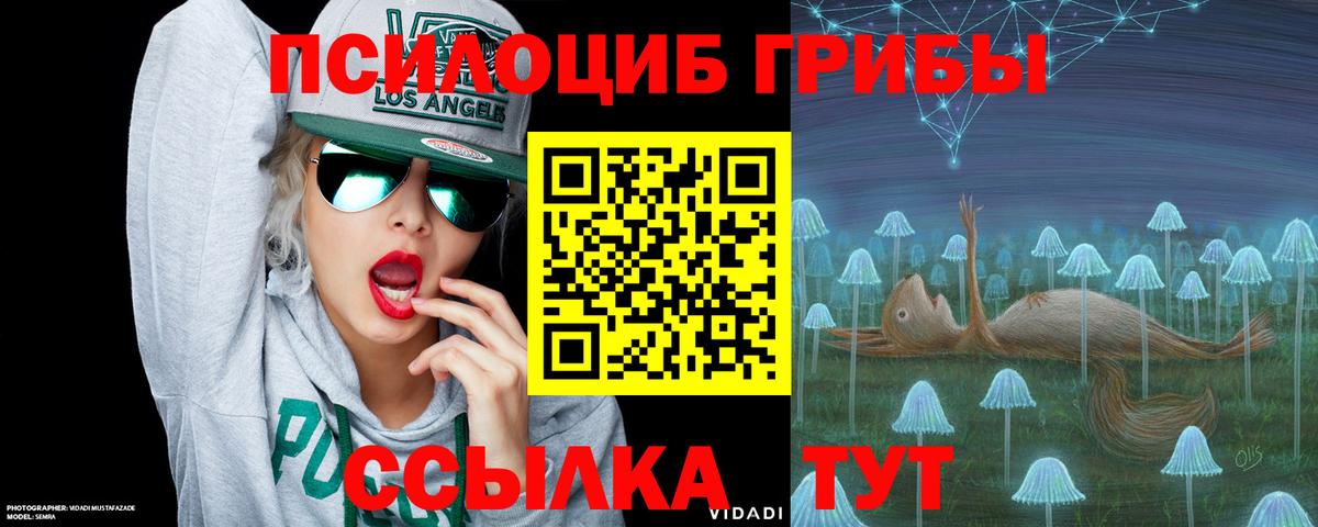 Псилоцибиновые грибы ЛСД Чапаевск